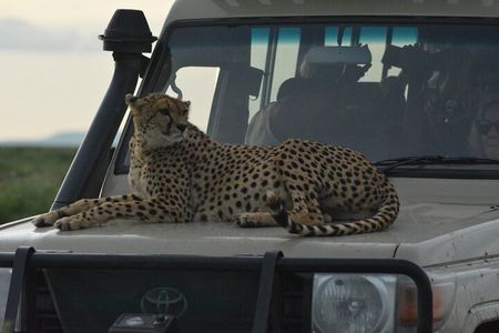 4-Day Small-Group Tour of Tanzania