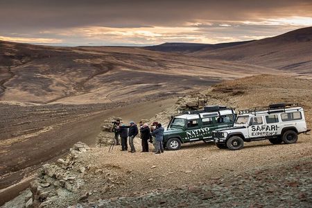Immersive 4x4 Patagonia Safari: Dicover Flora Heritage & Wildlife
