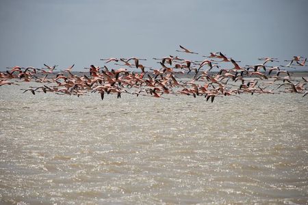 7 Days 6 Nights Alta Guajira Photographic Route Tour with Pick up