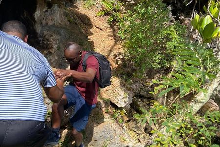 Tom Moores Jungle and Eco Tour