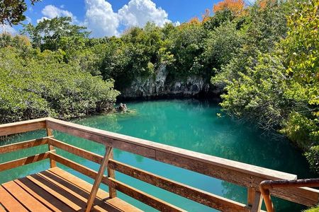 Tom Moores Jungle and Eco Tour