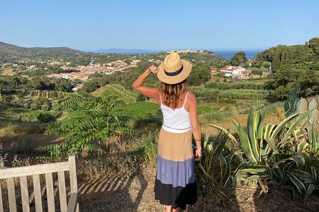 Authentic Elba Wine Tasting with Vineyard Walk & Sea Views