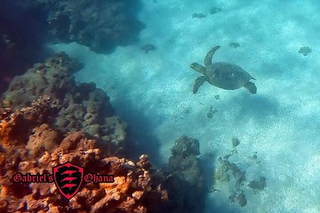 Clear Kayak Tour with Pontoons and Optional Snorkeling-Unlimited