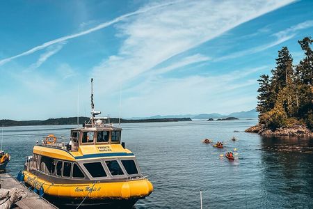 Vancouver Island Half-Day Whale Watching Tour - Telegraph Cove