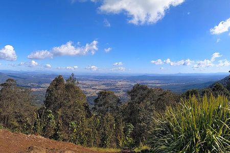Tamborine Mountain and Paradise Point Tour from Brisbane