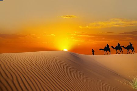 Dubai Evening Desert Safari with BBQ Dinner