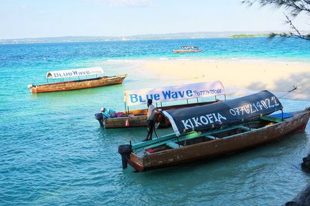 Prison Island Nakupenda and Stone Town Tour with Seafood Lunch