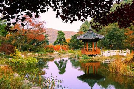 Easy private tour to Nami Island, Garden of Morning Calm