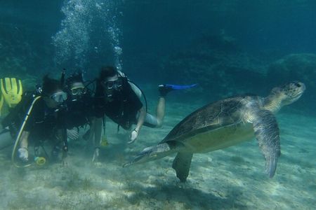 SCUBA DIVING first time experience