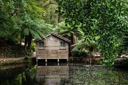 Dandenong Ranges Private Day Tour