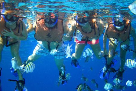 2 Hour Diving in Sunset Restaurant and Coral Gardens with Lunch