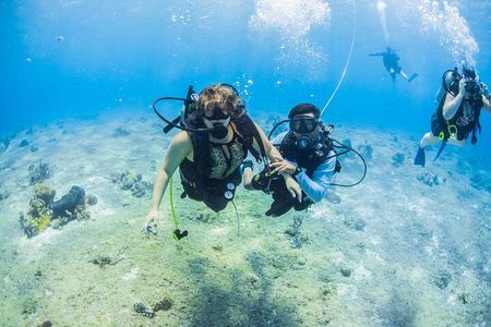 Diving Experience PADI Open Water Certification Course