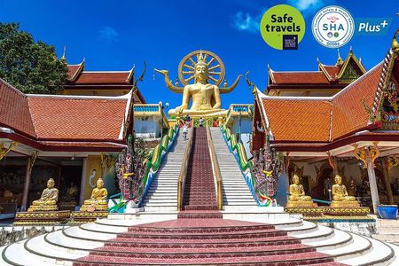 Private Group City Tour Around Koh Samui