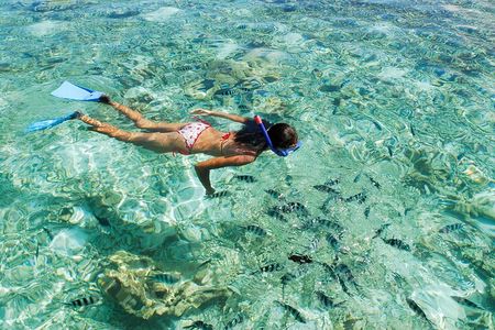 Full Day Glass Bottom Boat Excursion inc Lunch