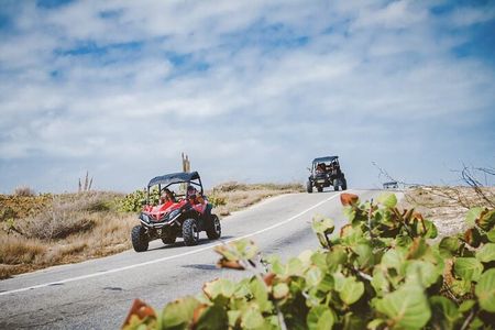 Art, Facts & Baby Beach UTV Adventure by Fofoti