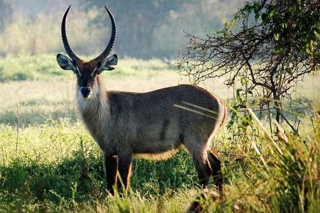 4 Days on Mt. Meru and Arusha National Park