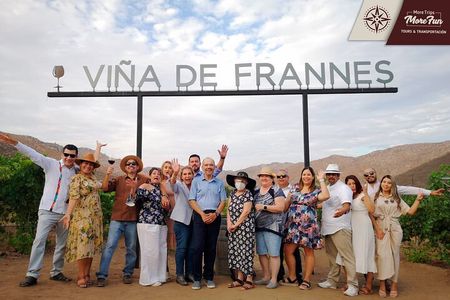 Valle de Guadalupe winery and brewery tours