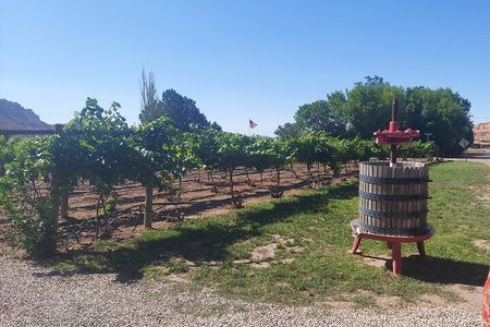 Moab Back Roads, History and Winery E-Bike Tour