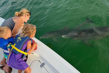 Private boat offering dolphin watching, island excursions and nature tours