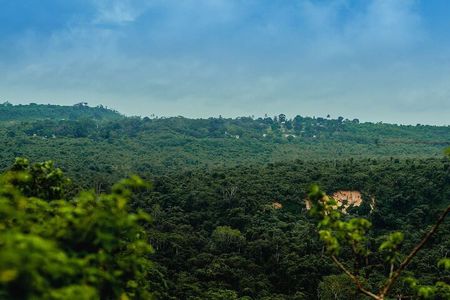 Private Full Day Pugu Hills Bird watching & Hiking