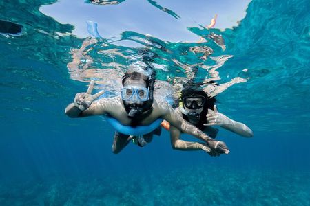 Maui: Turtle Reef Snorkel Cruise with Hawaiian Green Sea Turtles
