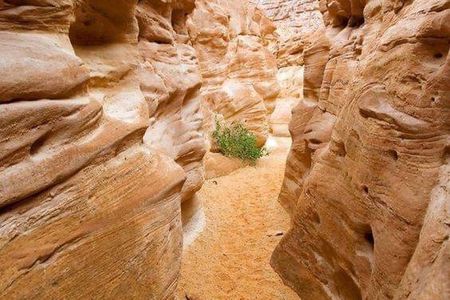 Colored Canyon and White Canyon Tour from Taba