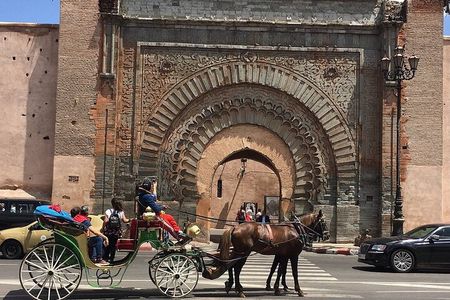 Majorelle-Menara garden & the Yves Saint Laurent museum Horse carriage tours