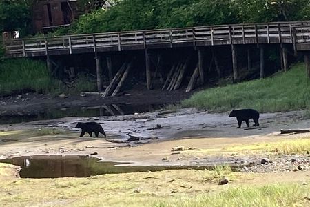 “OVER THE TOP TOURS” city highlights, wildlife and more!