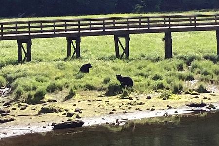 “OVER THE TOP TOURS” city highlights, wildlife and more!