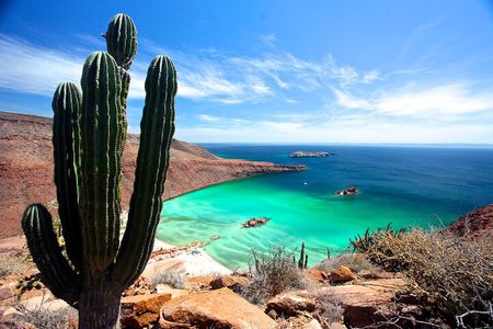 Espiritu Santo Island Full-Day Cruise with Snorkeling and Lunch! Round Trip