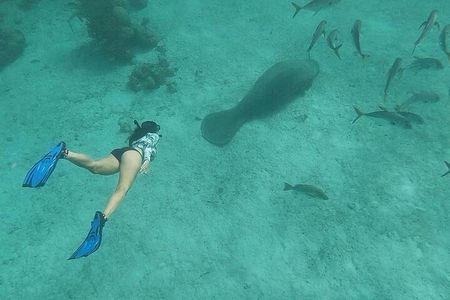 Private Snorkeling in Hol Chan Marine Reserve and Shark Ray Alley