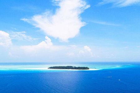 Dolphin Tour, Jozani Forest Tour, Kuza Cave Tour, Paje Beach,The Rock Restaurant