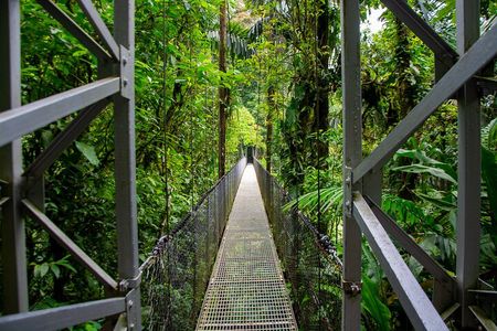 2-in-1 Best of La Fortuna. Hanging Bridges & Arenal Volcano + Traditional Lunch
