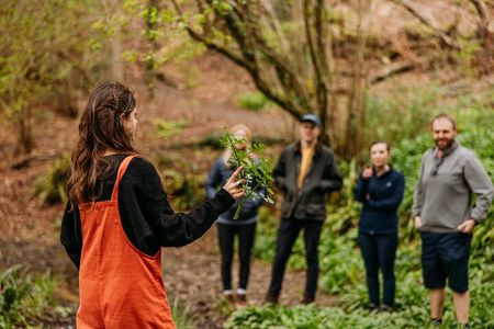Learn to forage in Llangollen