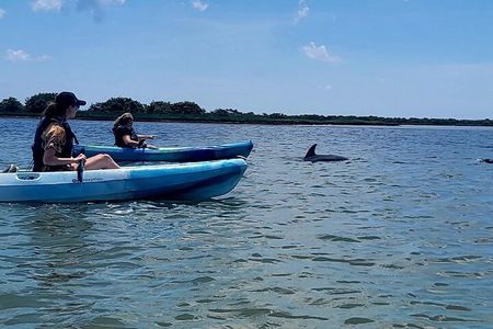 Kayaking St. Augustine's Original Dolphin Tour