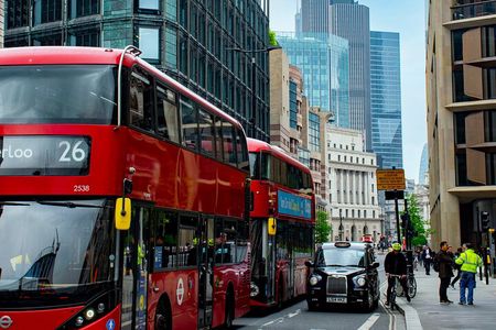 London Fully Tailored Private Tour: Half-Day with Local Guide