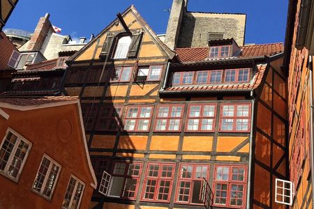 3 Hour Walking Tour in Copenhagen 