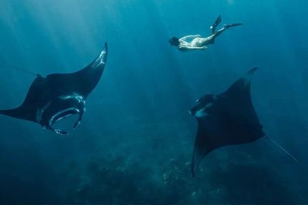 Snorkeling Manta Rays and Land Tour Nusa Penida <> All-Included