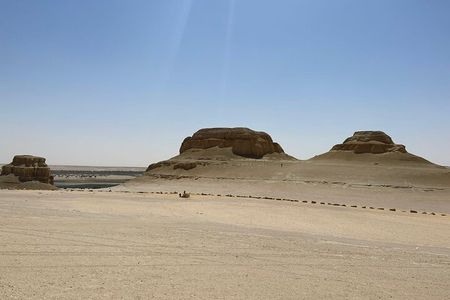 One-Day Private Guided Safari to Faiyum from Cairo with Lunch