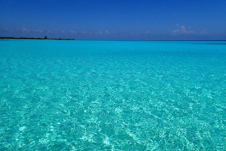 El Cielo Cozumel Snorkeling Tour - All-Inclusive
