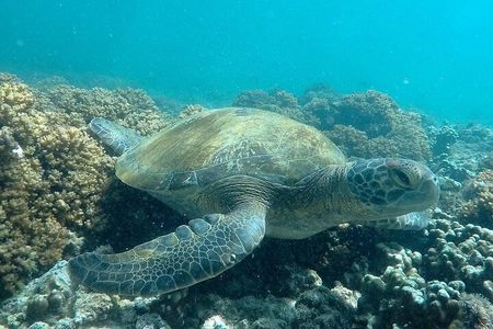 holy spirit island tour