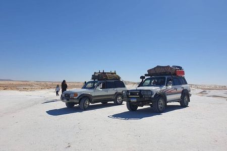 Full Day Private Bahariya Oasis and White Desert Tour from Cairo