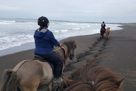 Family Horse Riding Tour in Thorlakshofn