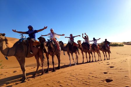 Private 2-days Desert tour from Marrakech to Mhamid Dunes Camel