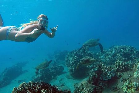 San Juan Guided Snorkel With Turtles Tour and Videos
