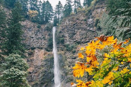 Portland Sightseeing Tour Including Columbia Gorge Waterfalls