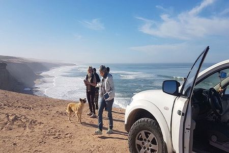 Private 4x4 Jeep Tour Atlanic Sahara and Ocean with Berber Lunch 