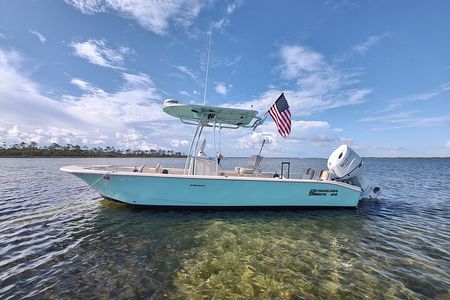 2-Hour Private Sightseeing Dolphin Tour in Panama City Beach