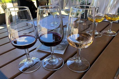 Relaxing Afternoon Wine Tour through Niagara's Wine Country