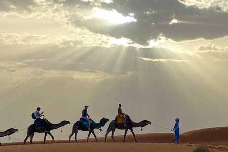 Sunset and Dinner with show in agafay desert 